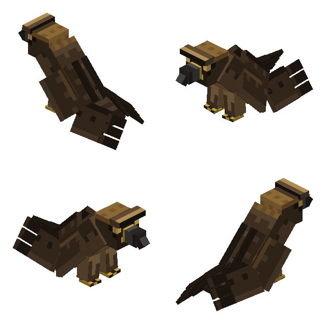 four views