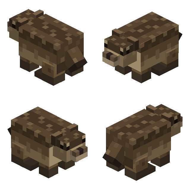 four views