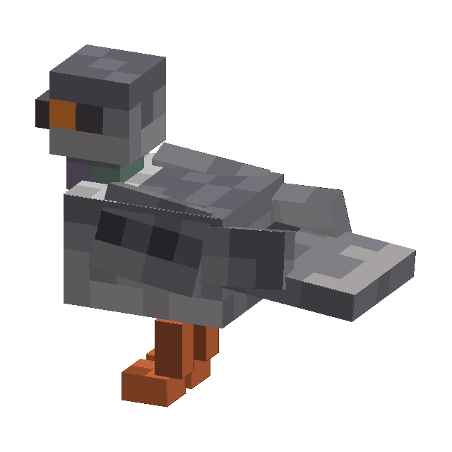 the birds that decided villages were theirs too